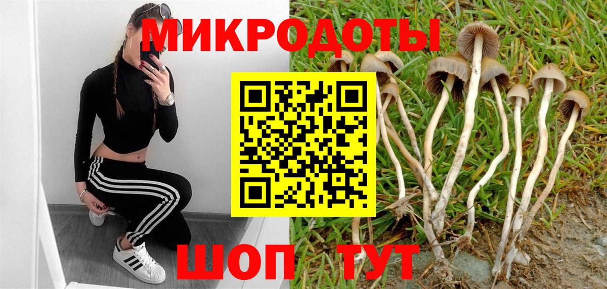 Галлюциногенные грибы MAGIC MUSHROOMS  Вход с VPN  Аша 